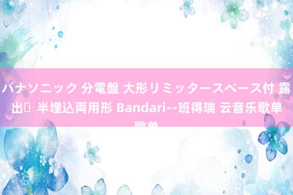 パナソニック 分電盤 大形リミッタースペース付 露出・半埋込両用形 Bandari--班得瑞 云音乐歌单