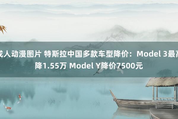 成人动漫图片 特斯拉中国多款车型降价：Model 3最高降1.55万 Model Y降价7500元