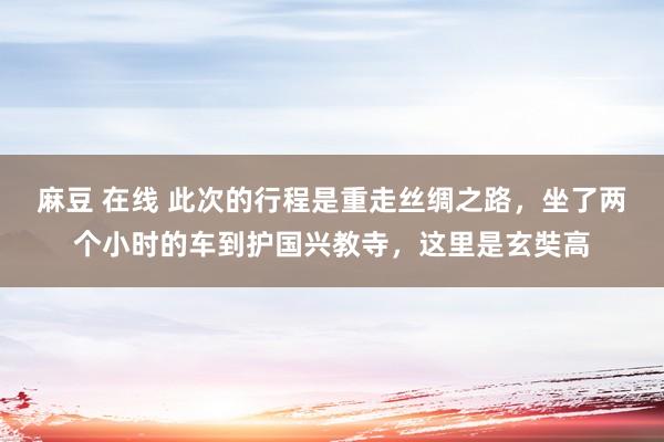 麻豆 在线 此次的行程是重走丝绸之路，坐了两个小时的车到护国兴教寺，这里是玄奘高