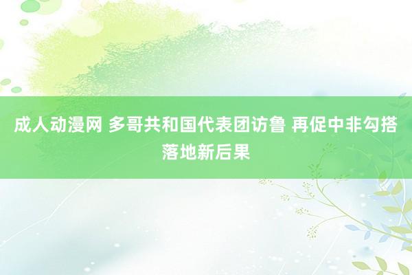 成人动漫网 多哥共和国代表团访鲁 再促中非勾搭落地新后果