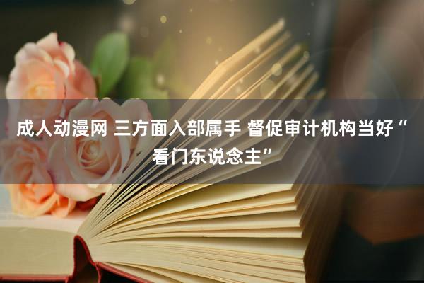 成人动漫网 三方面入部属手 督促审计机构当好“看门东说念主”