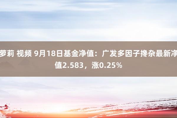 萝莉 视频 9月18日基金净值：广发多因子搀杂最新净值2.583，涨0.25%