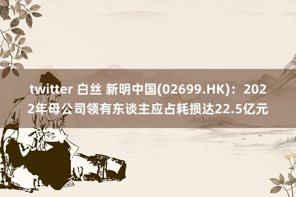 twitter 白丝 新明中国(02699.HK)：2022年母公司领有东谈主应占耗损达22.5亿元