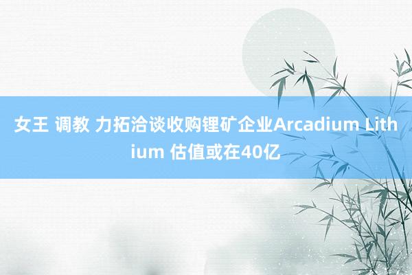 女王 调教 力拓洽谈收购锂矿企业Arcadium Lithium 估值或在40亿