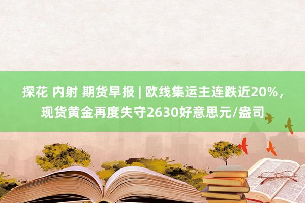 探花 内射 期货早报 | 欧线集运主连跌近20%，现货黄金再度失守2630好意思元/盎司