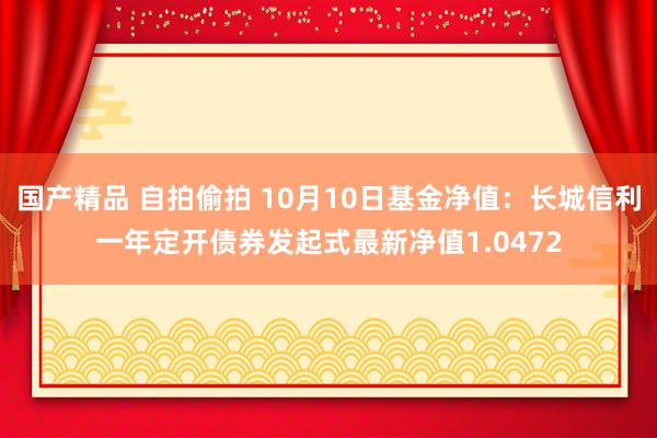 国产精品 自拍偷拍 10月10日基金净值：长城信利一年定开债券发起式最新净值1.0472