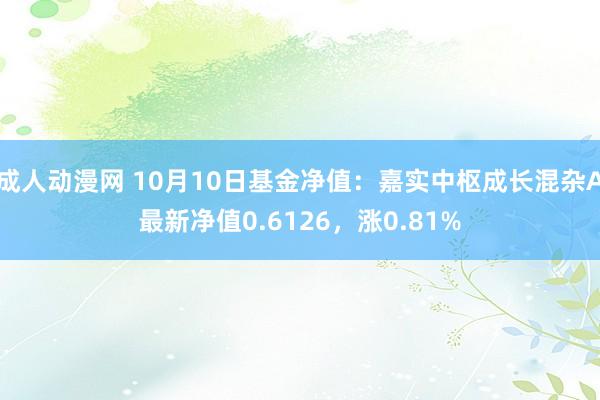 成人动漫网 10月10日基金净值：嘉实中枢成长混杂A最新净值0.6126，涨0.81%