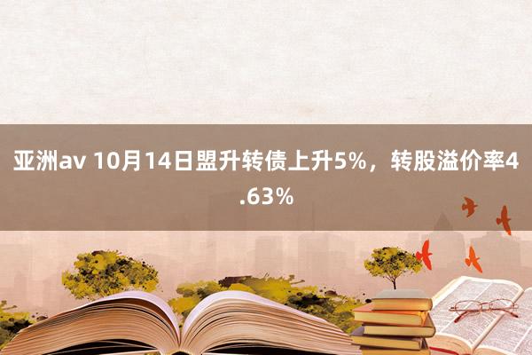 亚洲av 10月14日盟升转债上升5%，转股溢价率4.63%