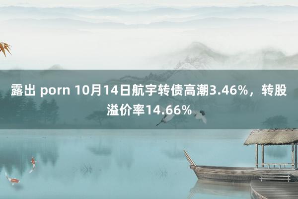 露出 porn 10月14日航宇转债高潮3.46%，转股溢价率14.66%