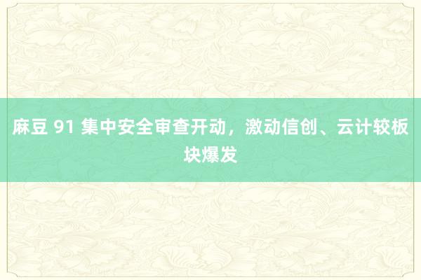 麻豆 91 集中安全审查开动，激动信创、云计较板块爆发