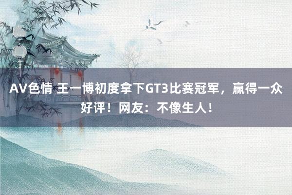 AV色情 王一博初度拿下GT3比赛冠军，赢得一众好评！网友：不像生人！