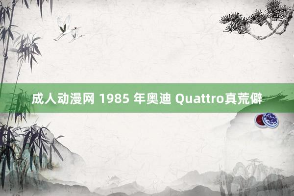 成人动漫网 1985 年奥迪 Quattro真荒僻