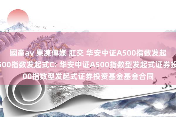 國產av 果凍傳媒 肛交 华安中证A500指数发起式A，华安中证A500指数发起式C: 华安中证A500指数型发起式证券投资基金基金合同