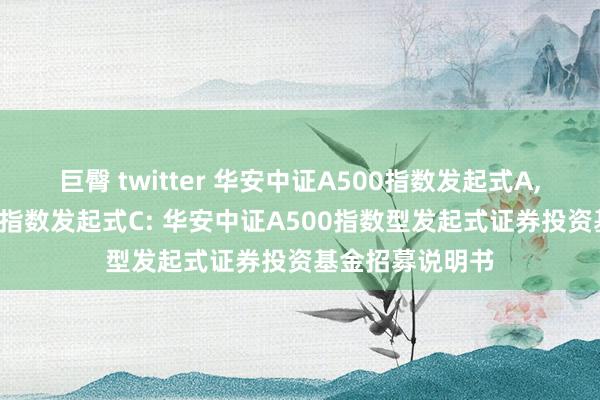 巨臀 twitter 华安中证A500指数发起式A，华安中证A500指数发起式C: 华安中证A500指数型发起式证券投资基金招募说明书