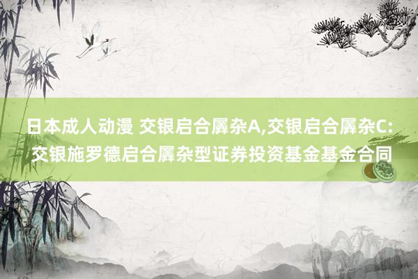 日本成人动漫 交银启合羼杂A,交银启合羼杂C: 交银施罗德启合羼杂型证券投资基金基金合同