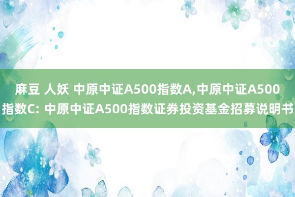 麻豆 人妖 中原中证A500指数A，中原中证A500指数C: 中原中证A500指数证券投资基金招募说明书