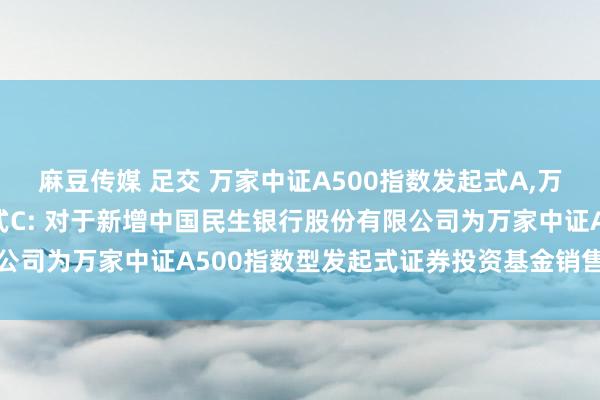 麻豆传媒 足交 万家中证A500指数发起式A，万家中证A500指数发起式C: 对于新增中国民生银行股份有限公司为万家中证A500指数型发起式证券投资基金销售机构的公告