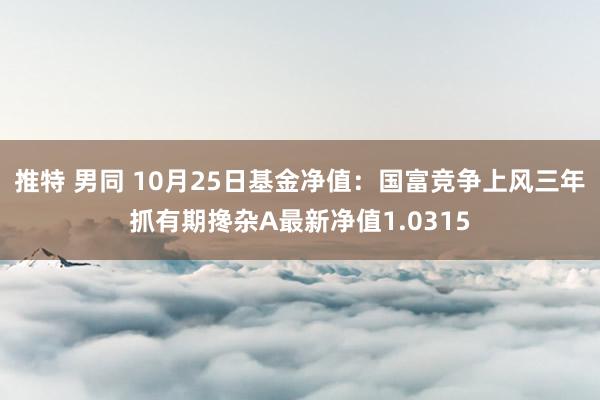 推特 男同 10月25日基金净值：国富竞争上风三年抓有期搀杂A最新净值1.0315