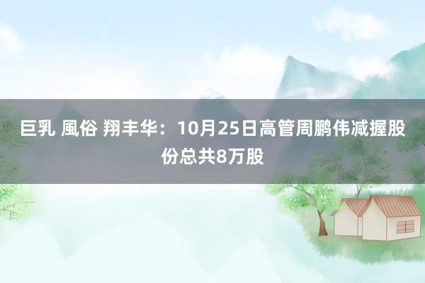 巨乳 風俗 翔丰华：10月25日高管周鹏伟减握股份总共8万股