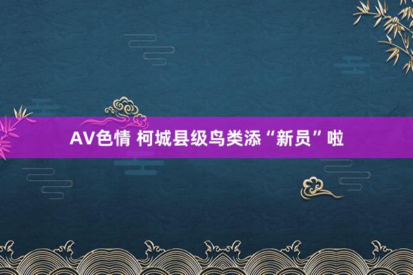 AV色情 柯城县级鸟类添“新员”啦