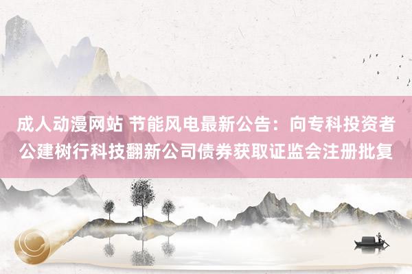 成人动漫网站 节能风电最新公告：向专科投资者公建树行科技翻新公司债券获取证监会注册批复