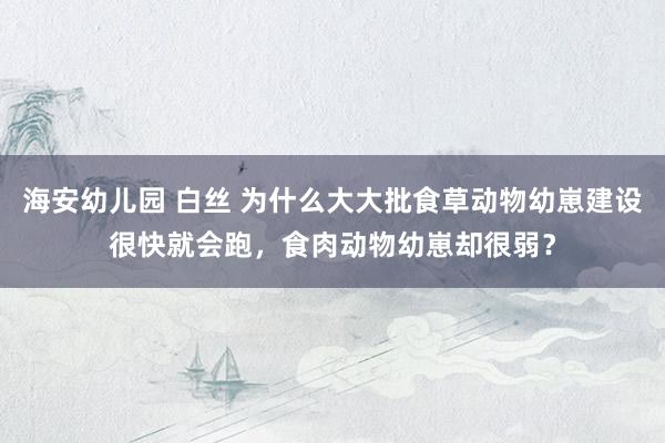 海安幼儿园 白丝 为什么大大批食草动物幼崽建设很快就会跑，食肉动物幼崽却很弱？