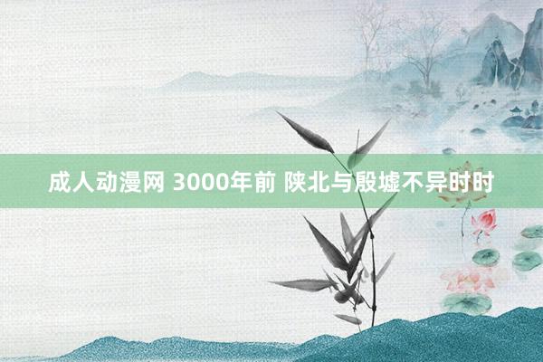 成人动漫网 3000年前 陕北与殷墟不异时时