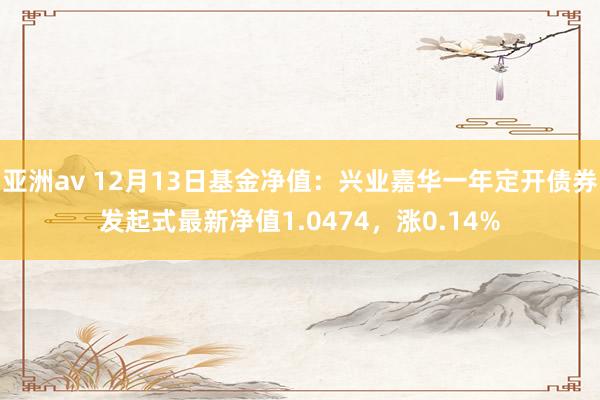 亚洲av 12月13日基金净值：兴业嘉华一年定开债券发起式最新净值1.0474，涨0.14%