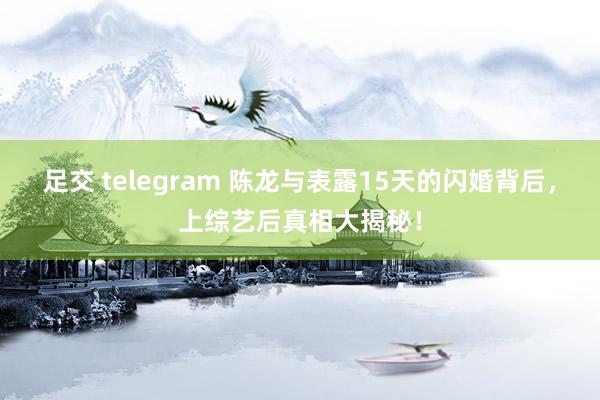 足交 telegram 陈龙与表露15天的闪婚背后，上综艺后真相大揭秘！