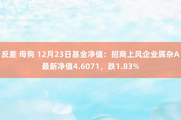 反差 母狗 12月23日基金净值：招商上风企业羼杂A最新净值4.6071，跌1.83%