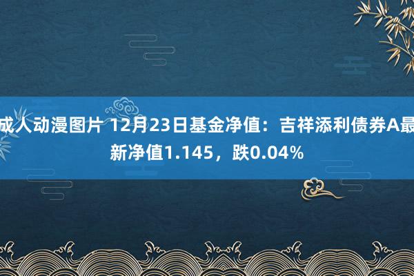 成人动漫图片 12月23日基金净值：吉祥添利债券A最新净值1.145，跌0.04%