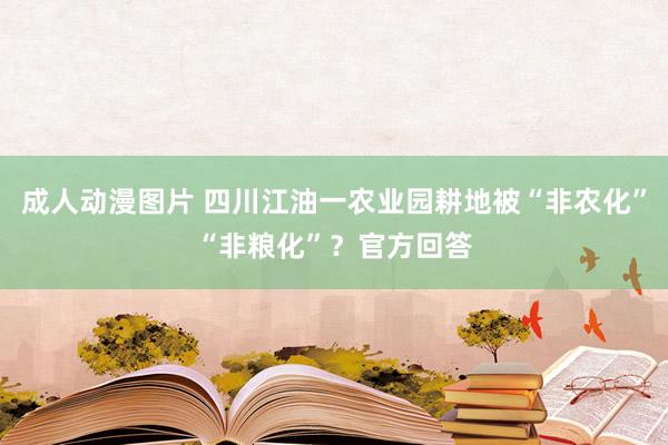 成人动漫图片 四川江油一农业园耕地被“非农化”“非粮化”？官方回答