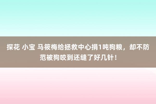 探花 小宝 马筱梅给拯救中心捐1吨狗粮，却不防范被狗咬到还缝了好几针！