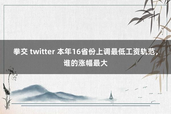 拳交 twitter 本年16省份上调最低工资轨范，谁的涨幅最大