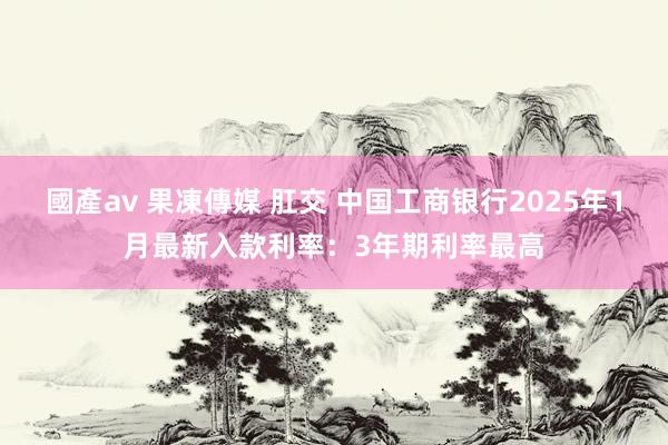 國產av 果凍傳媒 肛交 中国工商银行2025年1月最新入款利率：3年期利率最高