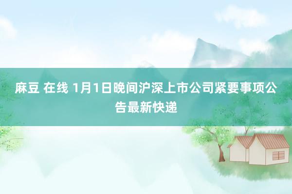 麻豆 在线 1月1日晚间沪深上市公司紧要事项公告最新快递