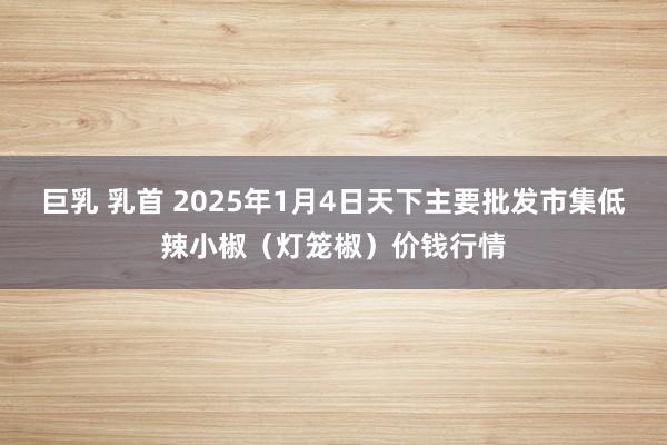 巨乳 乳首 2025年1月4日天下主要批发市集低辣小椒（灯笼椒）价钱行情