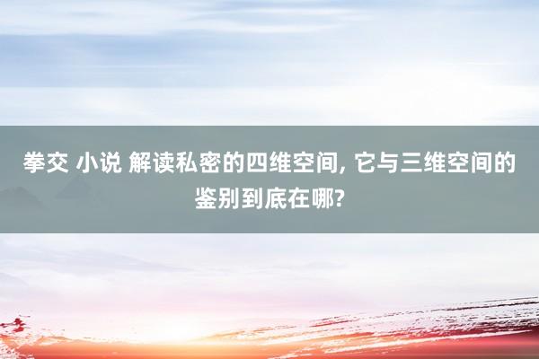 拳交 小说 解读私密的四维空间， 它与三维空间的鉴别到底在哪?