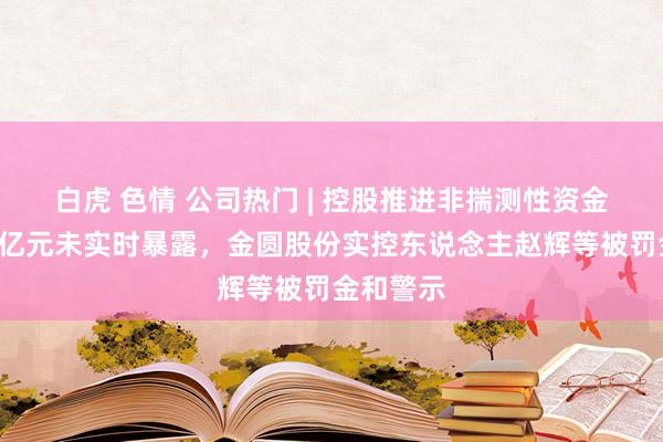 白虎 色情 公司热门 | 控股推进非揣测性资金占用超4亿元未实时暴露，金圆股份实控东说念主赵辉等被罚金和警示