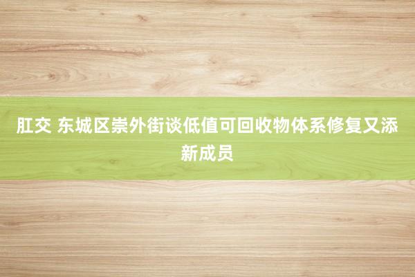 肛交 东城区崇外街谈低值可回收物体系修复又添新成员