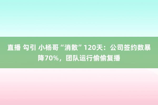 直播 勾引 小杨哥“消散”120天：公司签约数暴降70%，团队运行偷偷复播