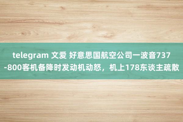 telegram 文爱 好意思国航空公司一波音737-800客机备降时发动机动怒，机上178东谈主疏散