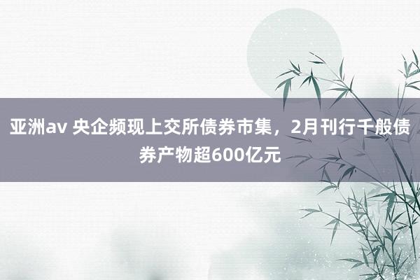 亚洲av 央企频现上交所债券市集，2月刊行千般债券产物超600亿元