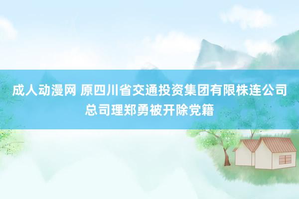 成人动漫网 原四川省交通投资集团有限株连公司总司理郑勇被开除党籍